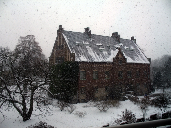 Botaniska trädgården i Lund