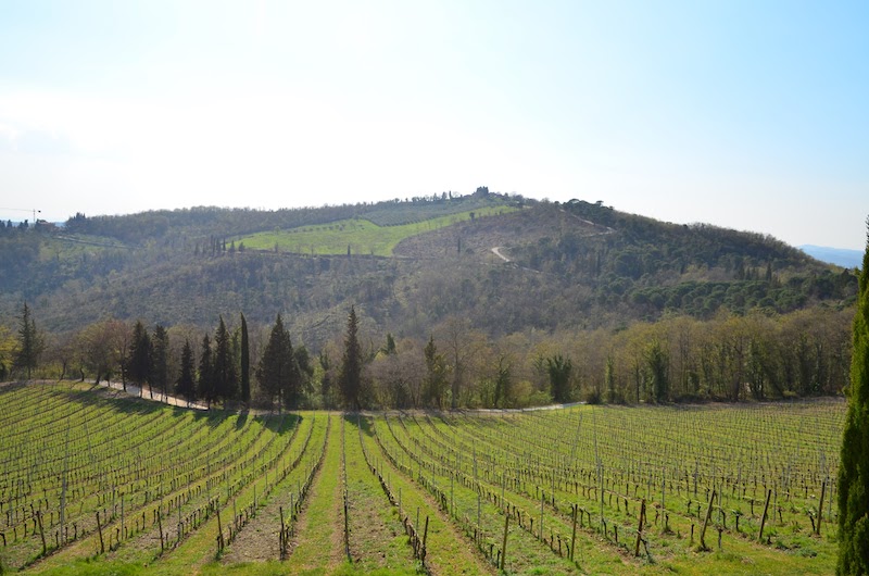 poggio-al-sole Poggio Al Sole Vin